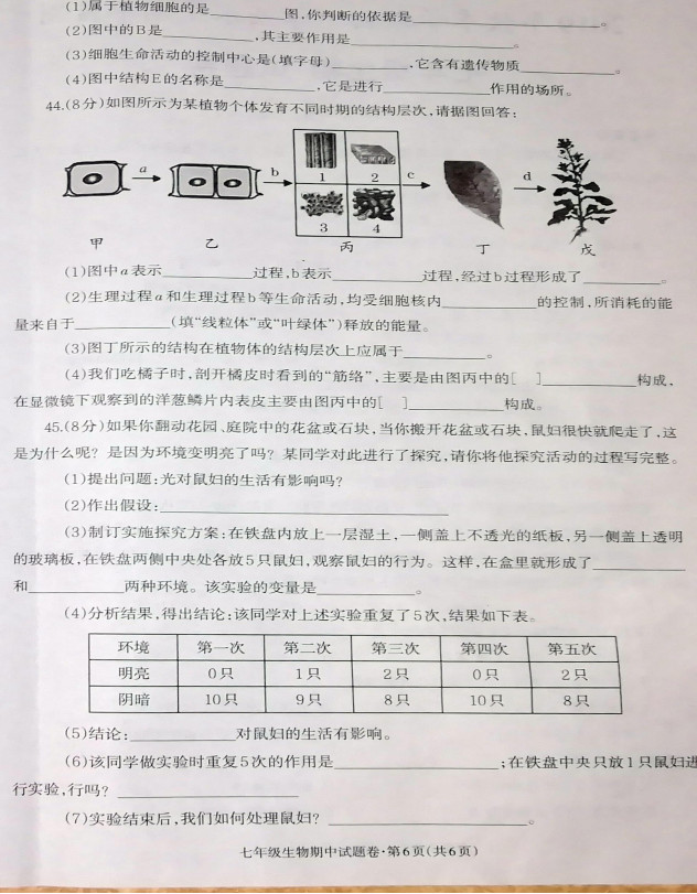 2019-2020云南昭通市七年级生物上册期中试题含答案（图片版）