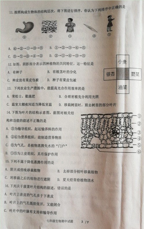 2019-2020山东济宁市七年级生物上册期中试题无答案（图片版）