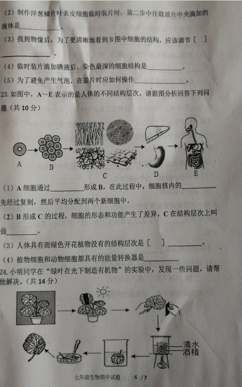 2019-2020山东济宁市七年级生物上册期中试题无答案（图片版）