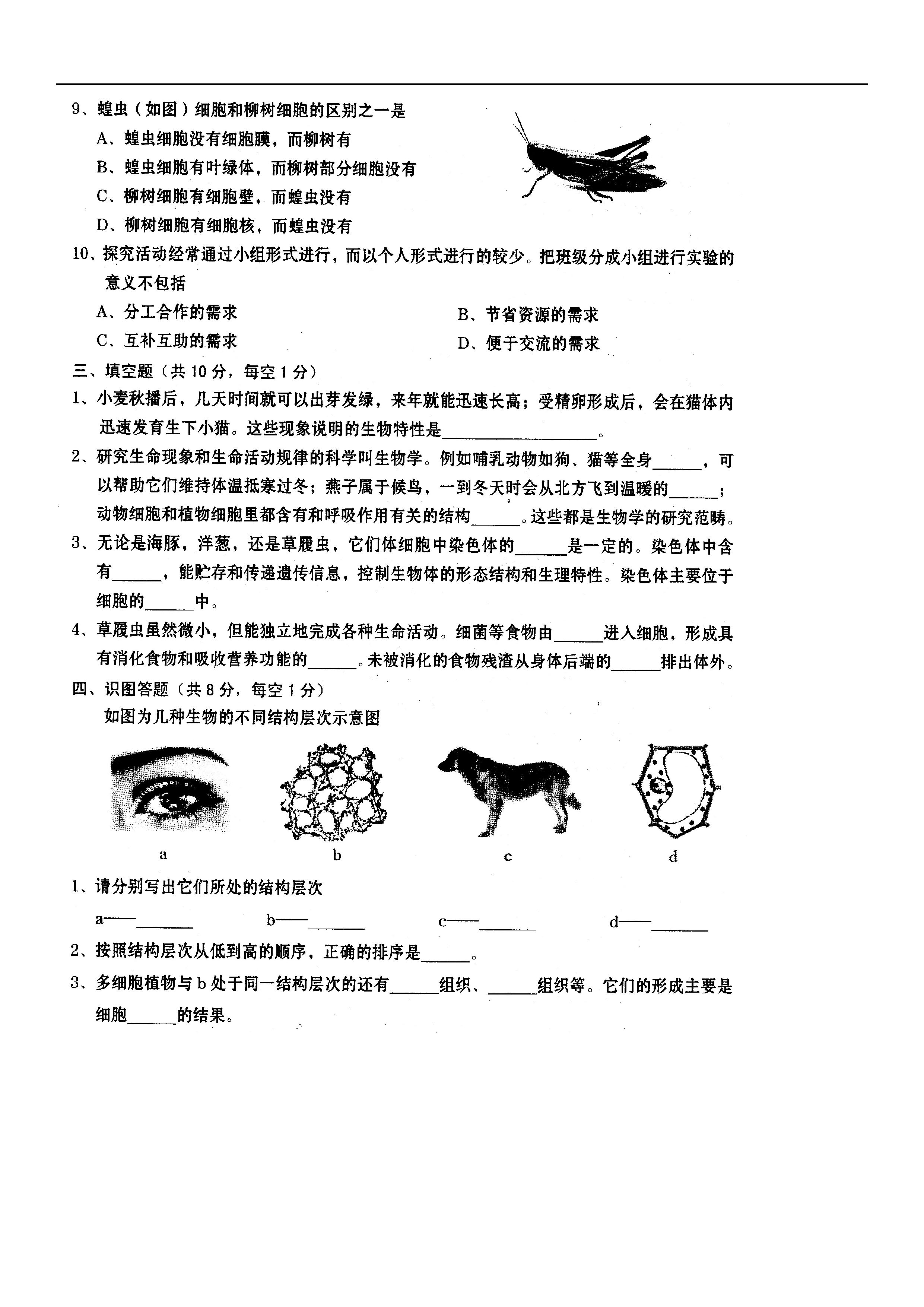 2019-2020山西运城市七年级生物上册期中试题含答案