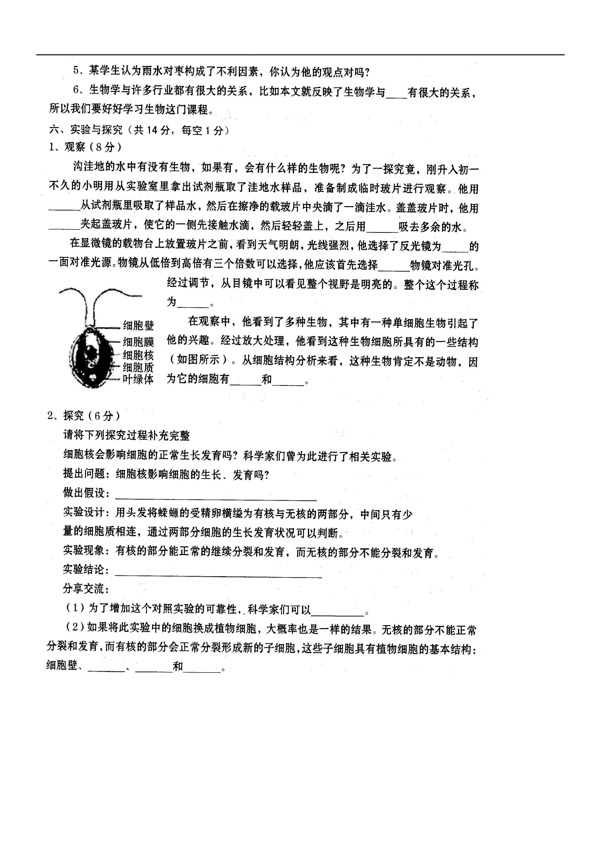 2019-2020运城市稷山县七年级生物上册期中试题含答案