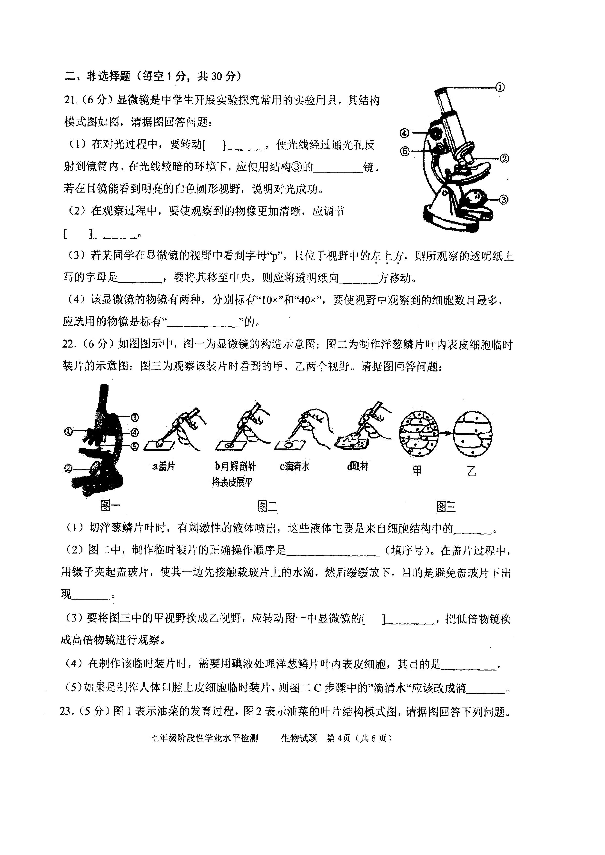 2019-2020山东省菏泽市七年级生物上册期中试题含答案