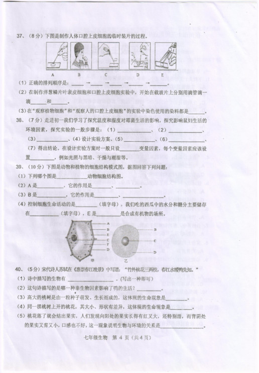 2019-2020安徽宿州市七年级生物上册期中试题含答案（图片版）