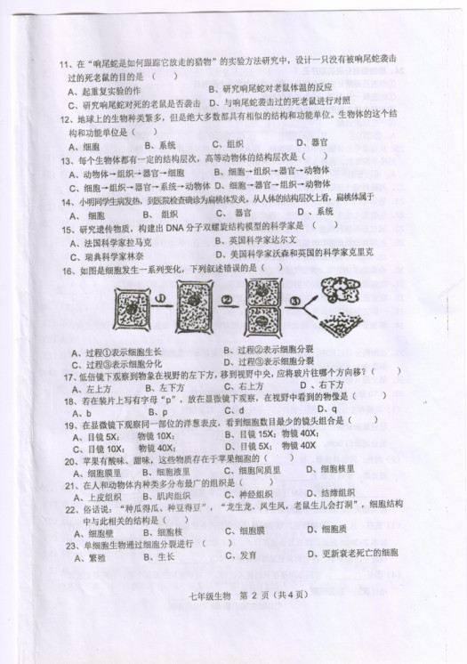 2019-2020宿州市十三校七年级生物上册期中试题含答案（图片版）