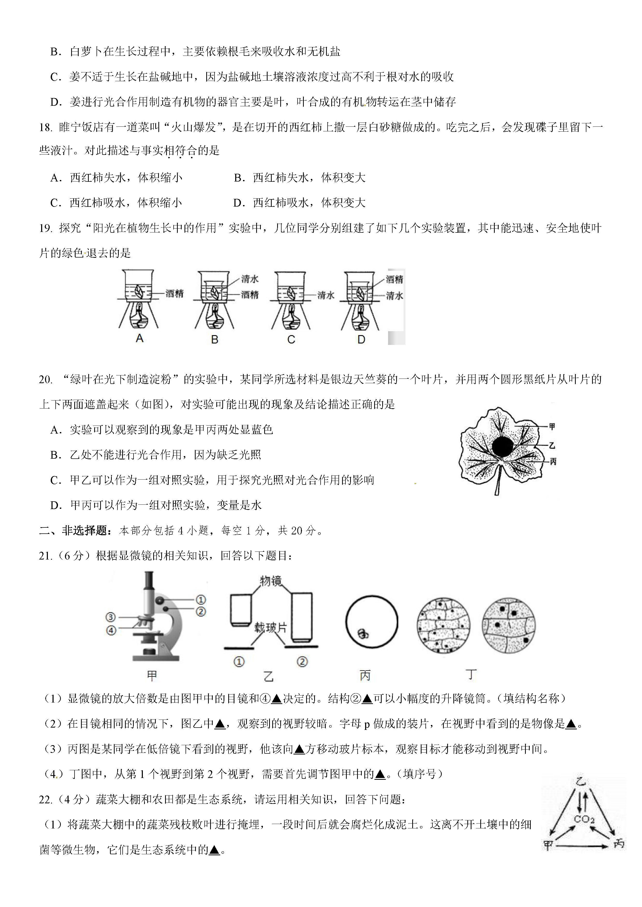 2019-2020徐州市睢宁县七年级生物上册期中试题无答案