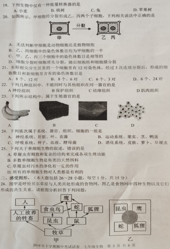 2019-2020湖南武冈市七年级生物上册期中试题无答案（图片版）