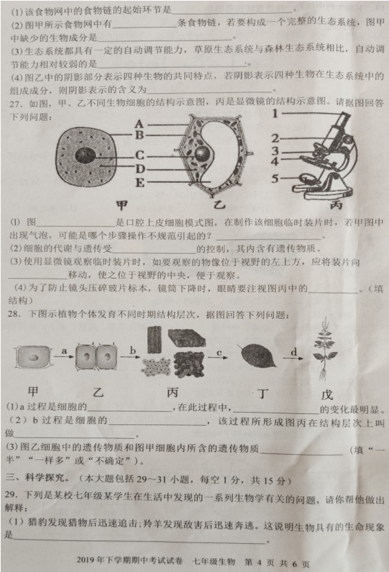 2019-2020湖南武冈市七年级生物上册期中试题无答案（图片版）