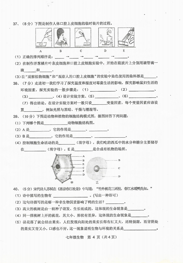 2019-2020安徽省宿州市七年级生物上册期中试题无答案