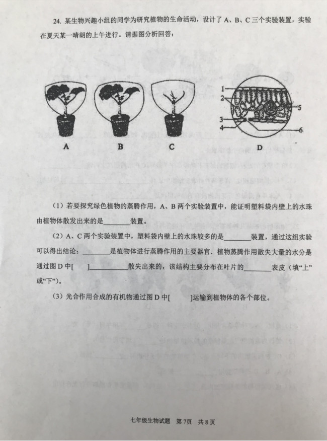 2019-2020济宁市微山县七年级上册生物期中试题无答案（图片版）
