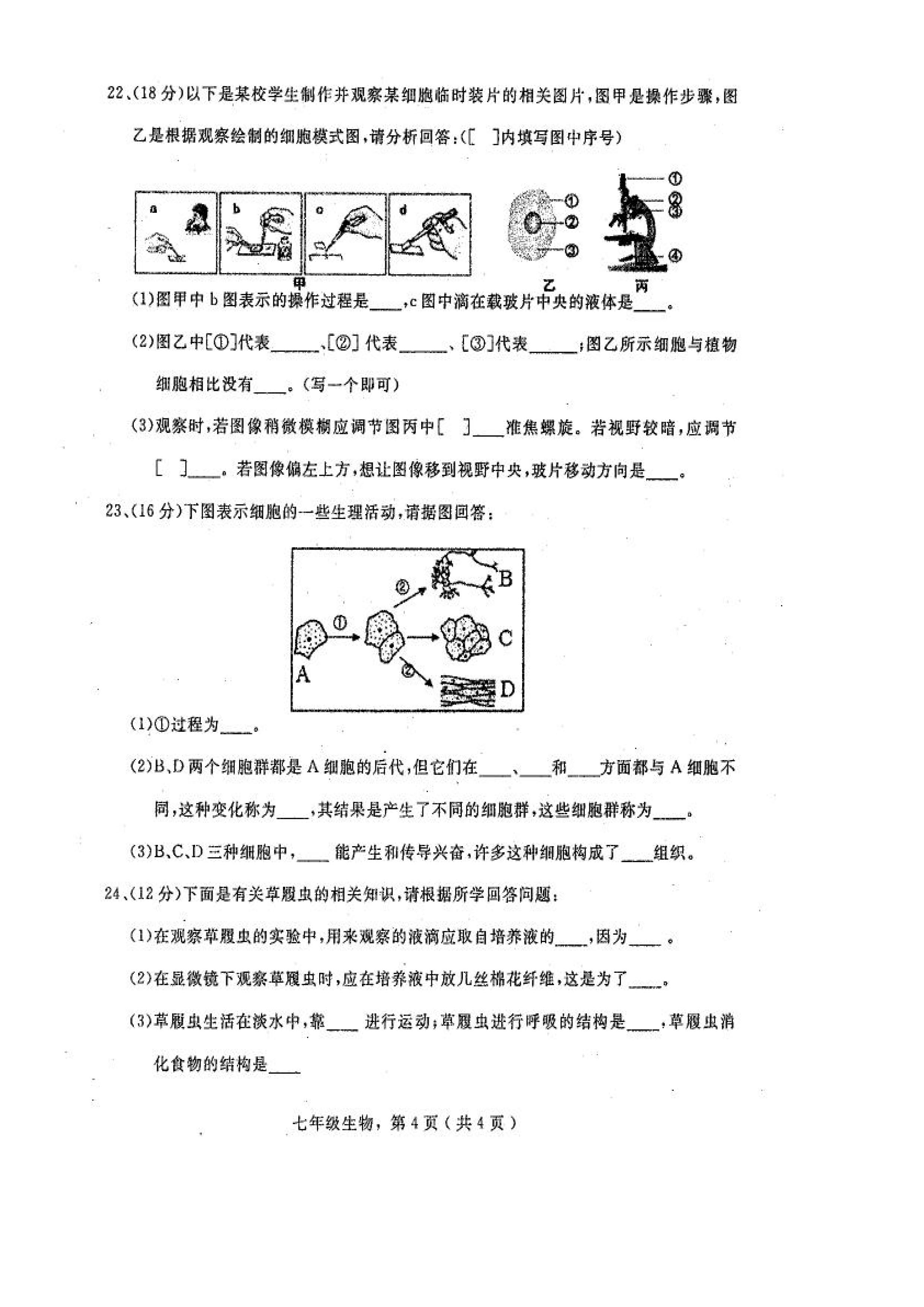 2019-2020河北石家庄市七年级生物上册期中试题含答案