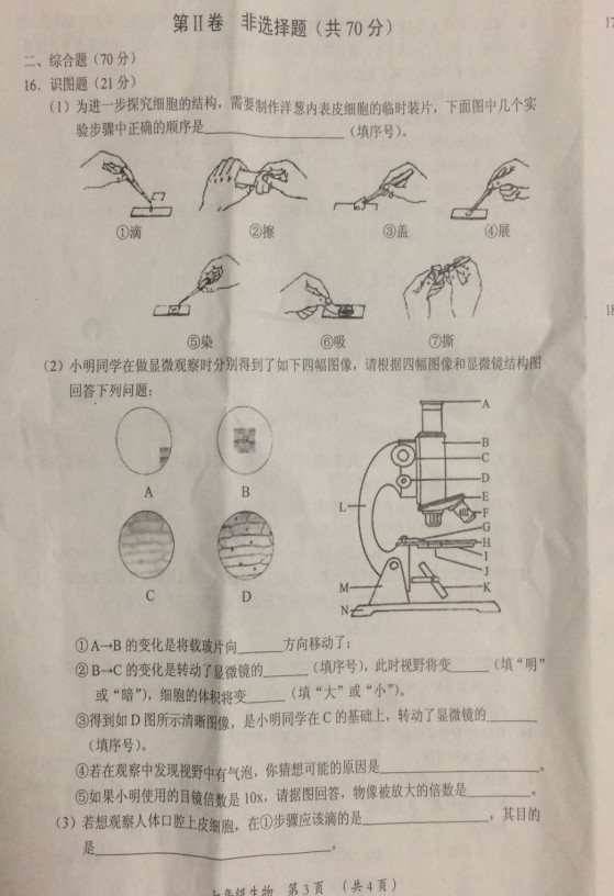 2019-2020山西大同市七年级生物上册期中试题含答案（图片版）