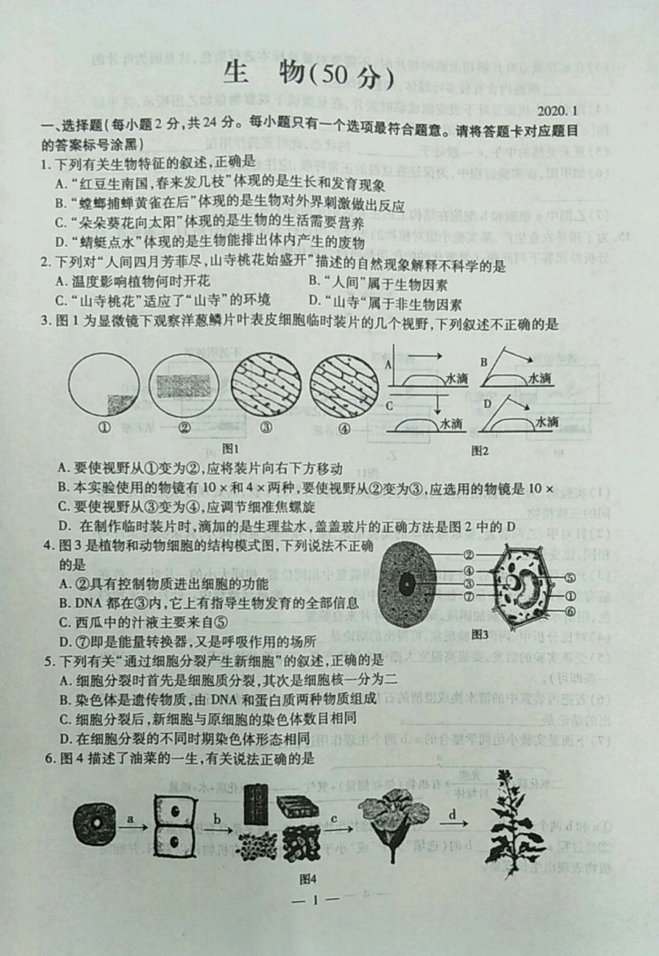 2019-2020内蒙古包头市七年级生物上册期末试题含答案（图片版）