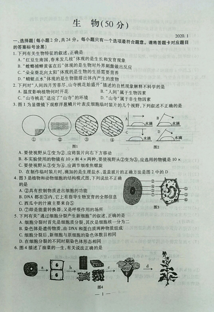 2019-2020内蒙古包头市七年级生物上册期末试题含答案（图片版）