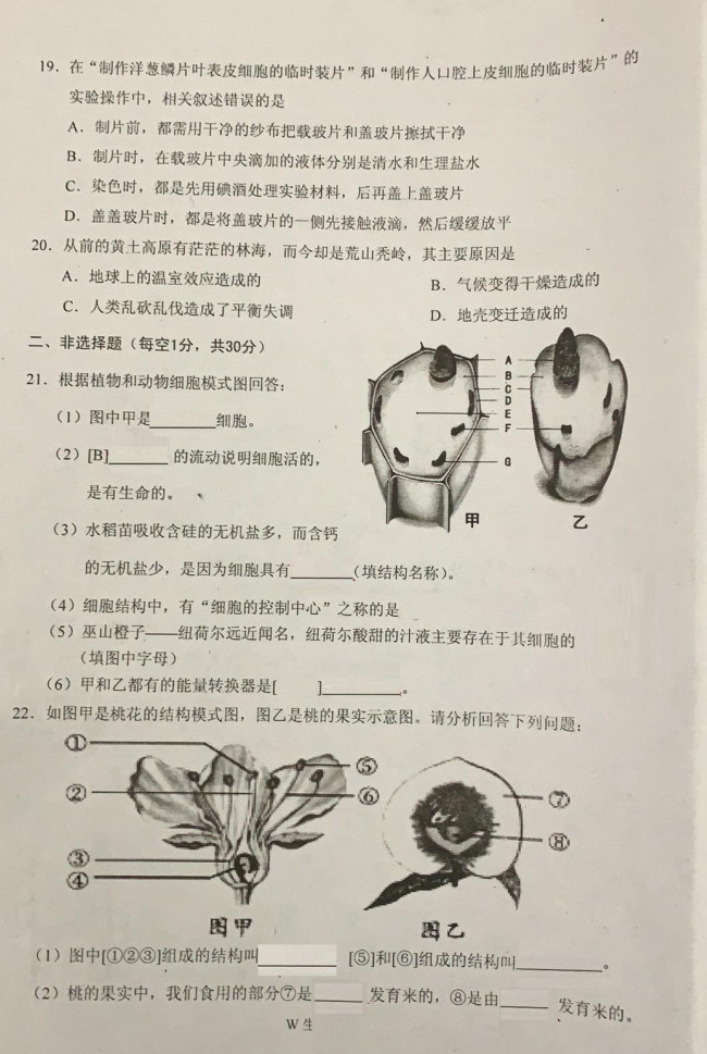 2019-2020重庆市巫山县七年级生物上册期末试题含答案