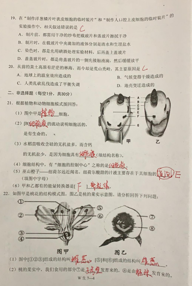 2019-2020重庆市巫山县七年级生物上册期末试题含答案