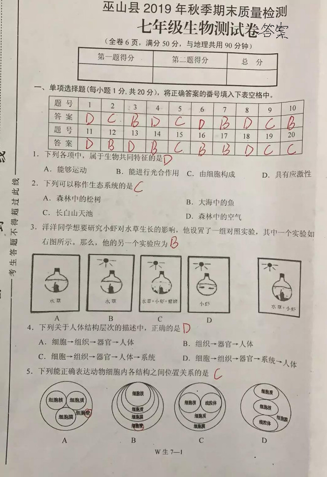 2019-2020重庆市巫山县七年级生物上册期末试题含答案