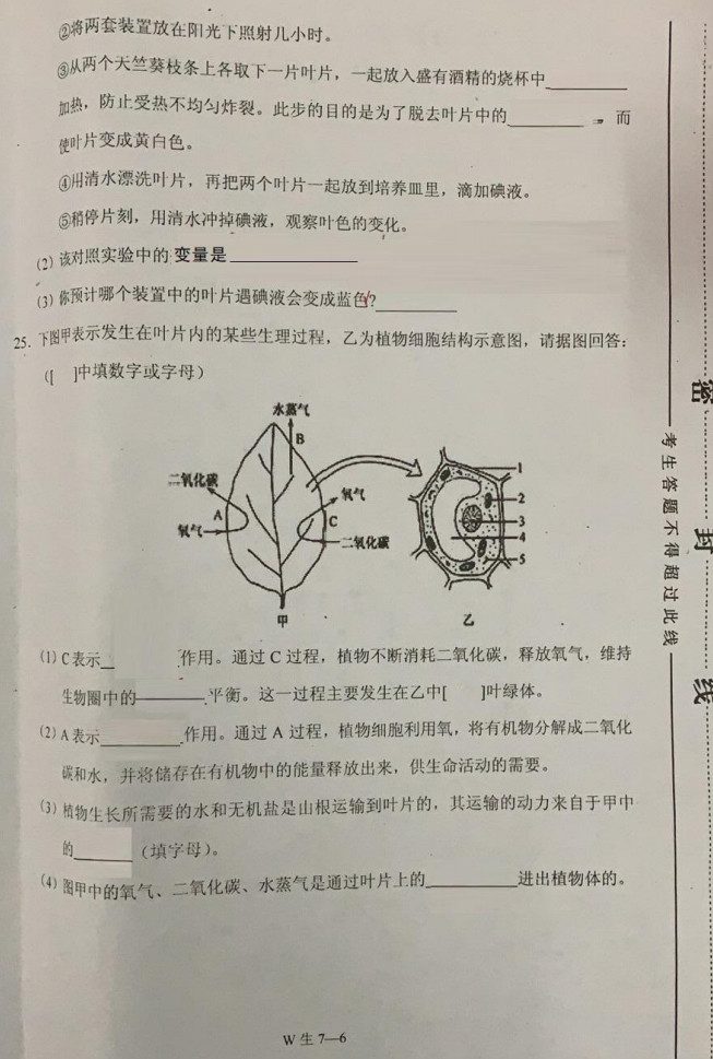 2019-2020重庆市巫山县七年级生物上册期末试题含答案