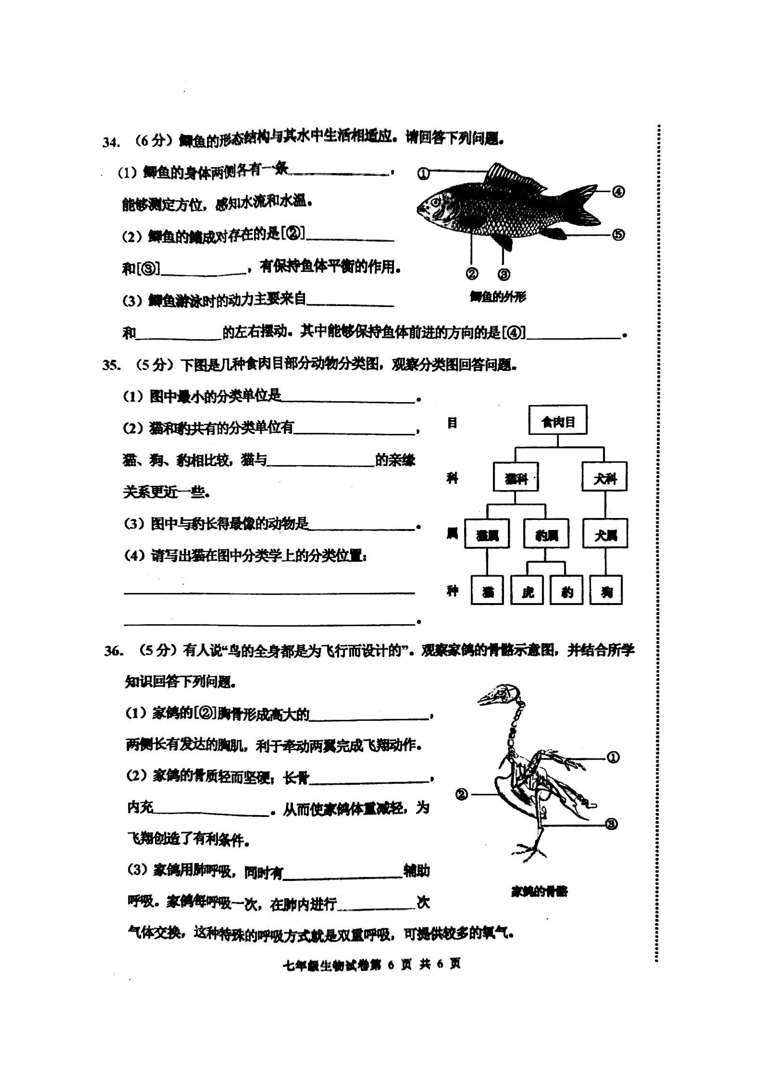 2019-2020河北省唐山市七年级生物上册期末试题含答案