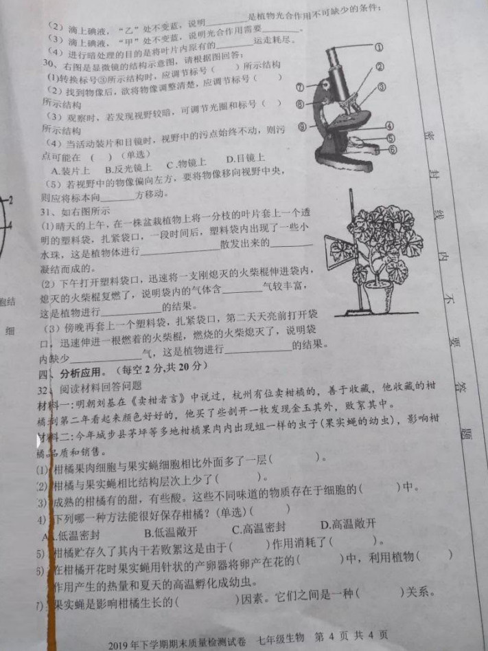 2019-2020湖南省城步苗族自治县七年级生物上册期末试题含答案（图片版）