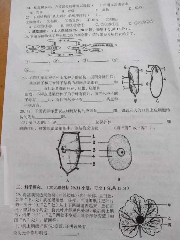 2019-2020湖南省城步苗族自治县七年级生物上册期末试题含答案（图片版）