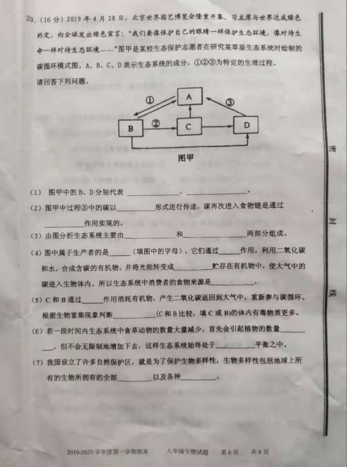 2019-2020山东台儿庄区39中八年级生物上册期末试题无答案（图片版）