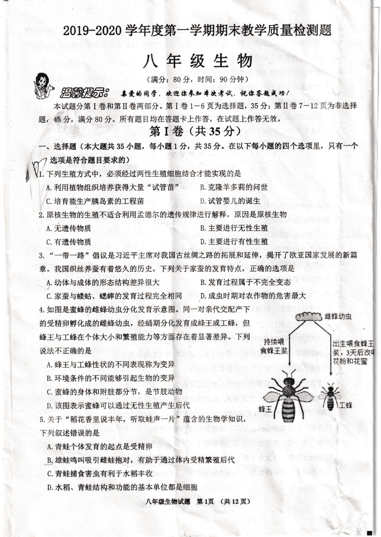 2019-2020青岛西海岸新区八年级生物上册期末试题无答案（图片版）