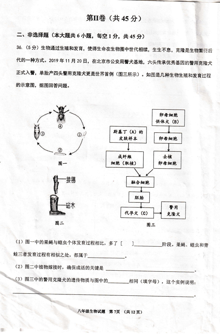 2019-2020青岛西海岸新区八年级生物上册期末试题无答案（图片版）