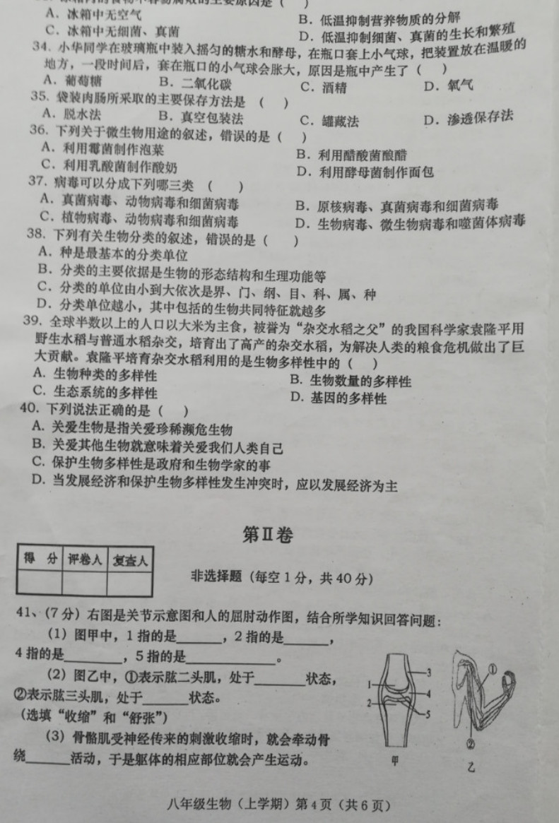 2019-2020甘肃庆阳八年级物理上册期末试题无答案（图片版）