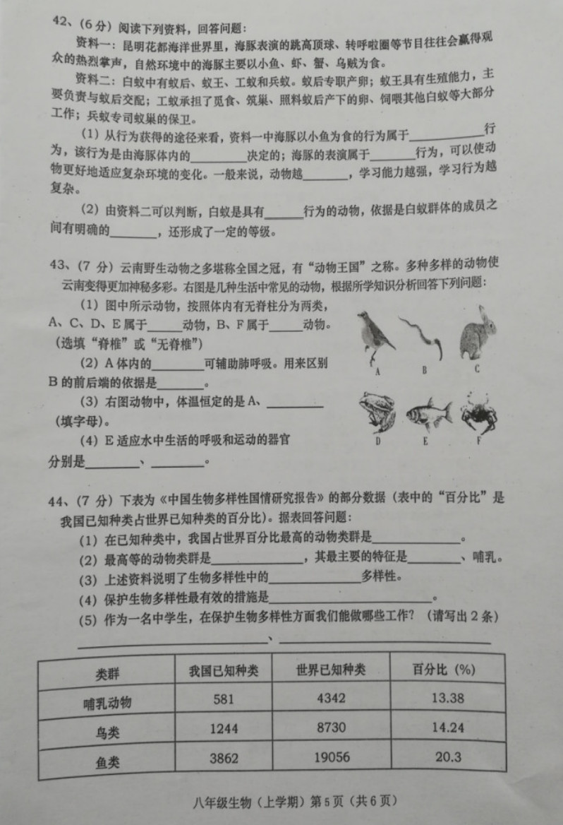 2019-2020甘肃庆阳八年级物理上册期末试题无答案（图片版）