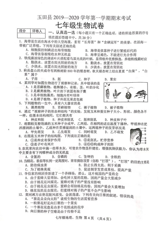 2019-2020河北玉田县初一生物上册期末试题含答案