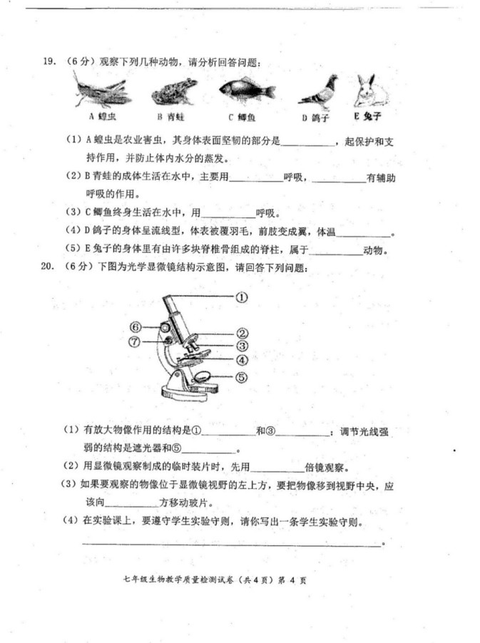 2019-2020广西防城港初一生物上册期末试题含答案