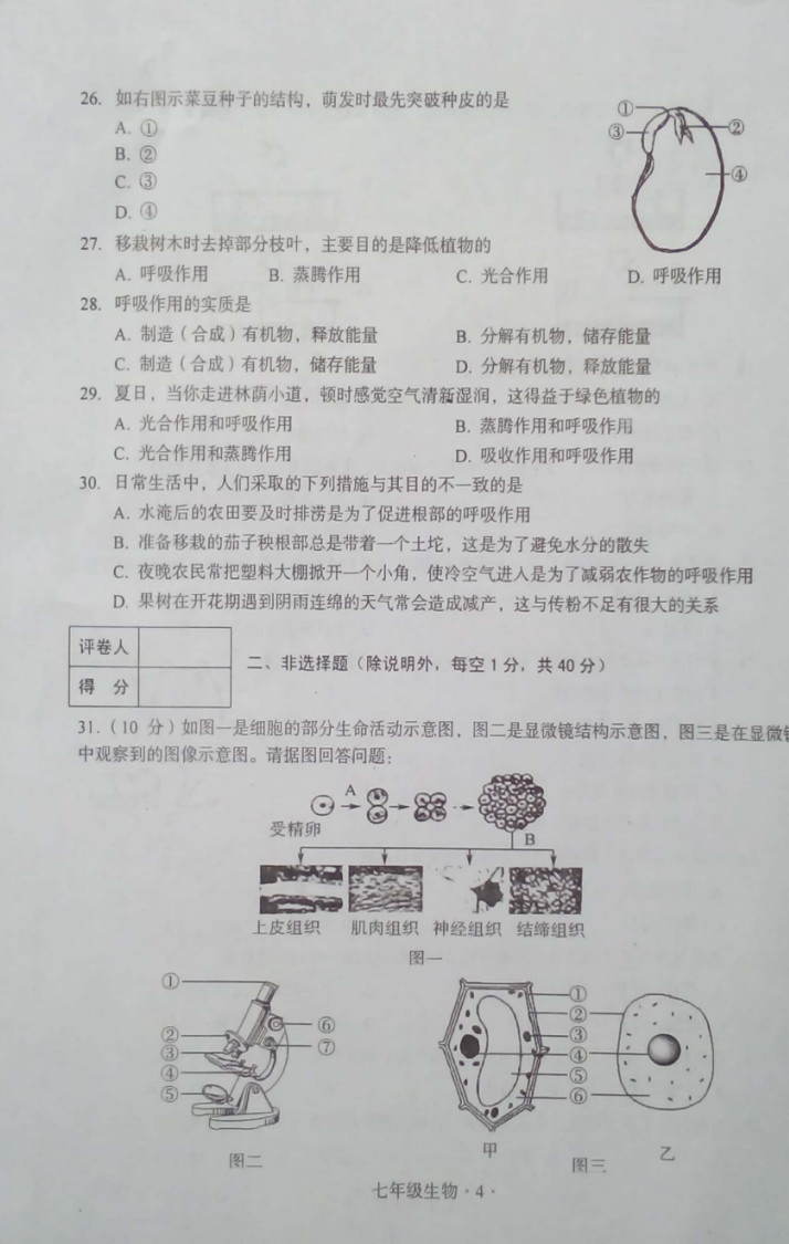 2019-2020广东梅州初一生物上册期末试题含答案（图片版）