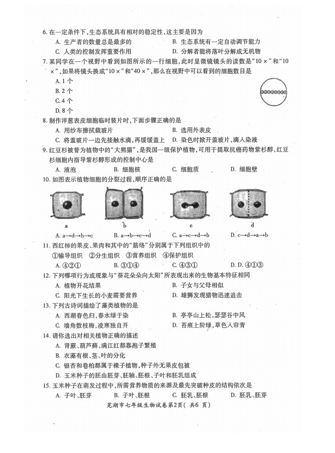 2019-2020安徽芜湖市初一生物上册期末试题无答案