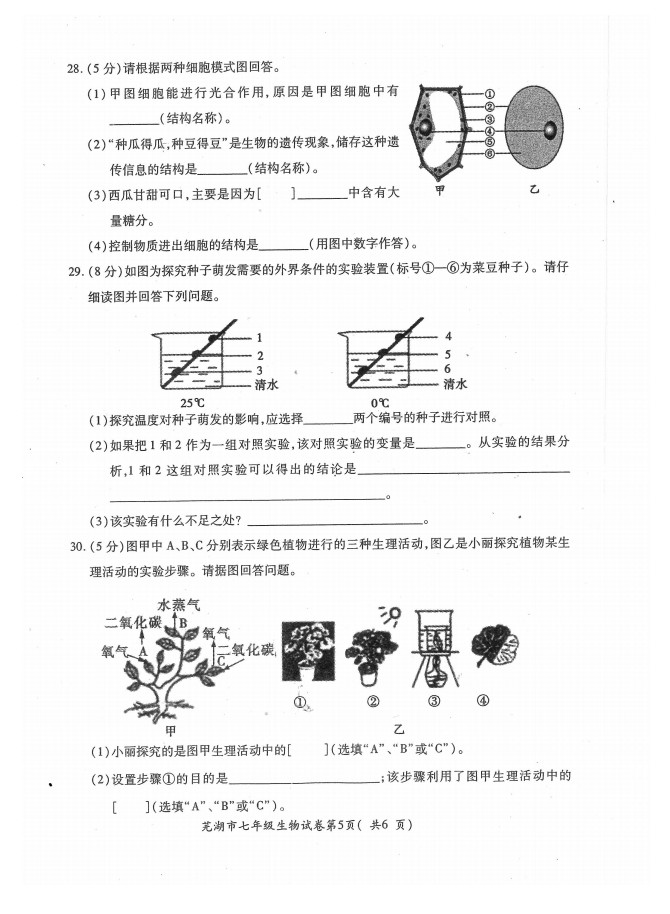 2019-2020安徽芜湖市初一生物上册期末试题无答案