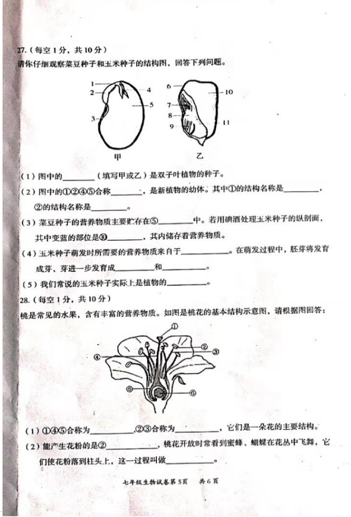 2019-2020山西大同初一生物上册期末试题含答案