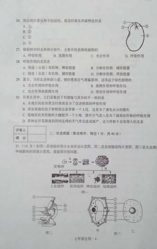 2019-2020广东大埔县初一生物上期末试题含答案（图片版）