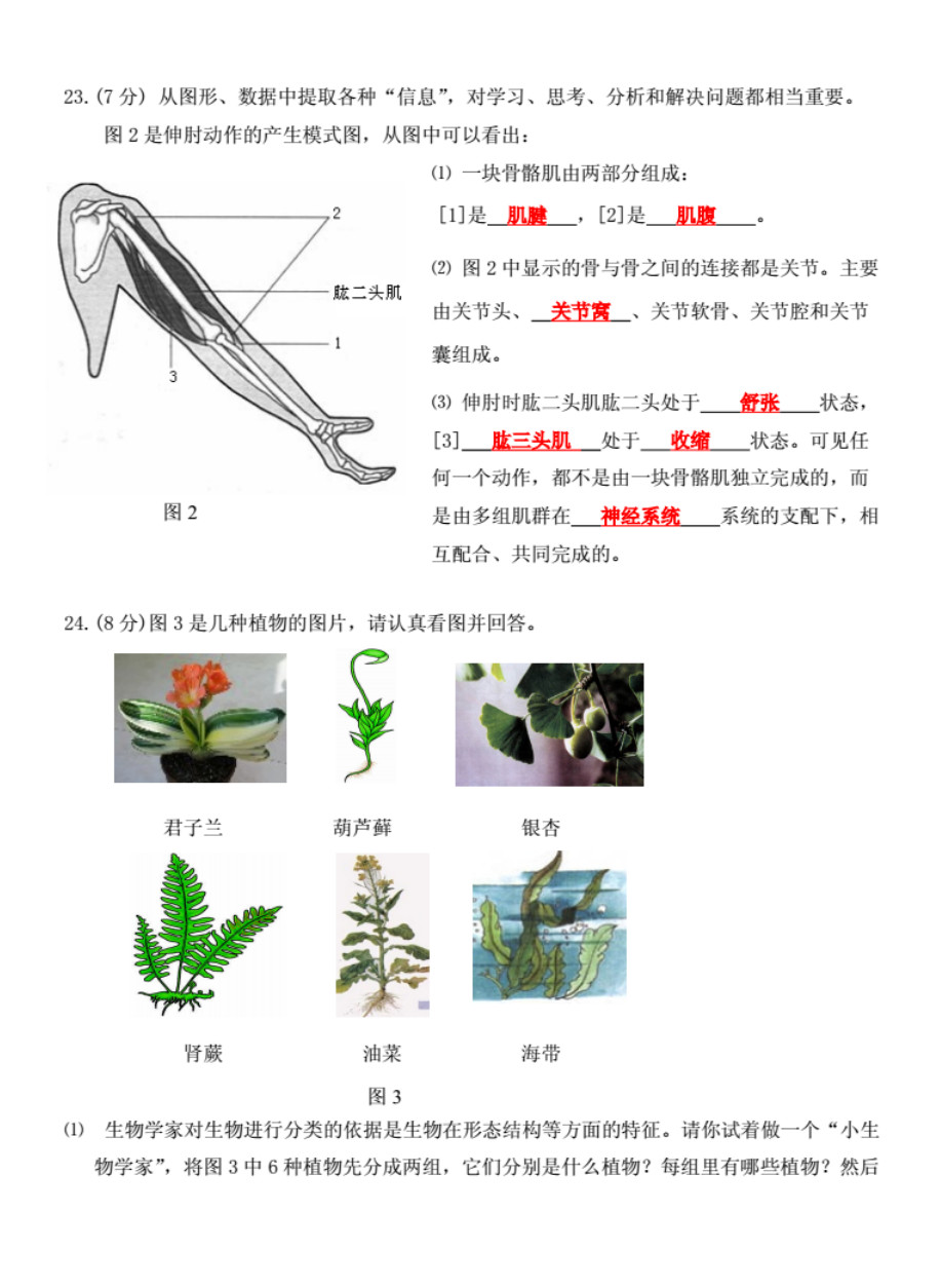 2019-2020贵州正安县初二生物上册期末试题含解析