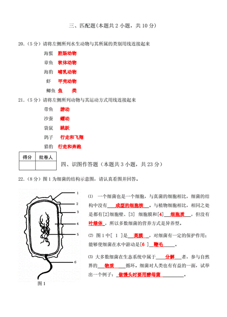 2019-2020正安县思源学校初二生物上册期末试题含答案