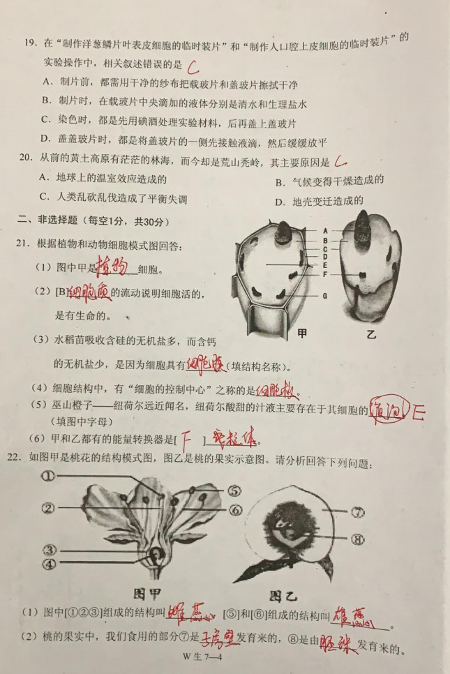 2019-2020重庆巫山县初一生物上期末试题含答案（图片版）