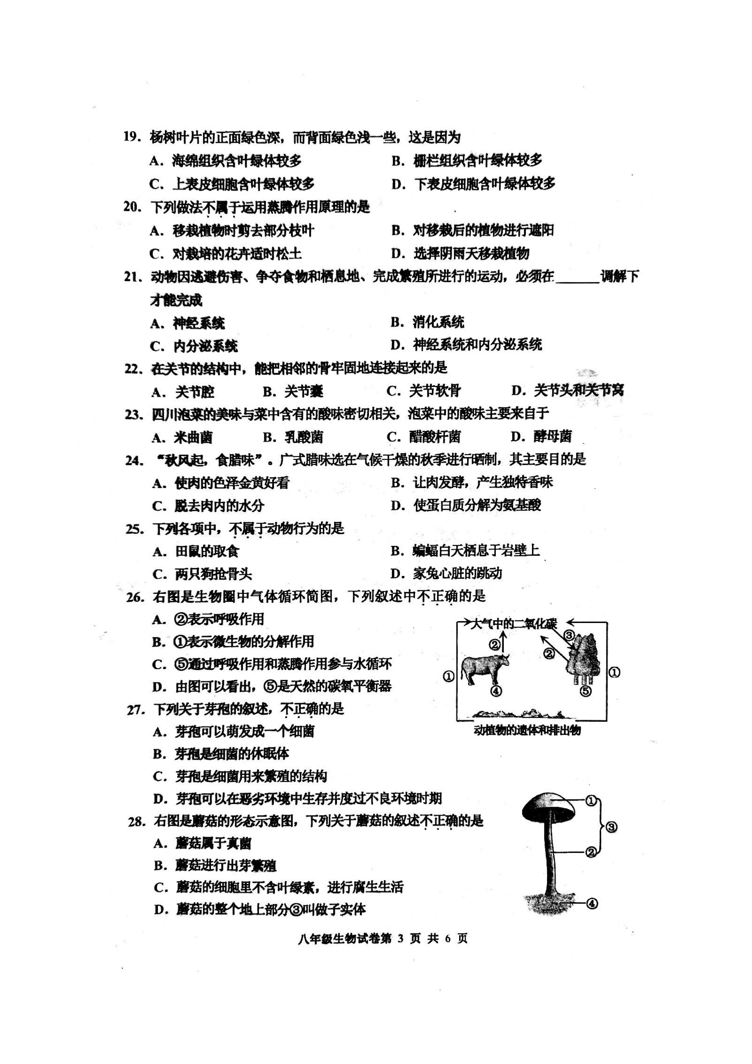 2019-2020唐山路南区初二生物上册期末试题含答案