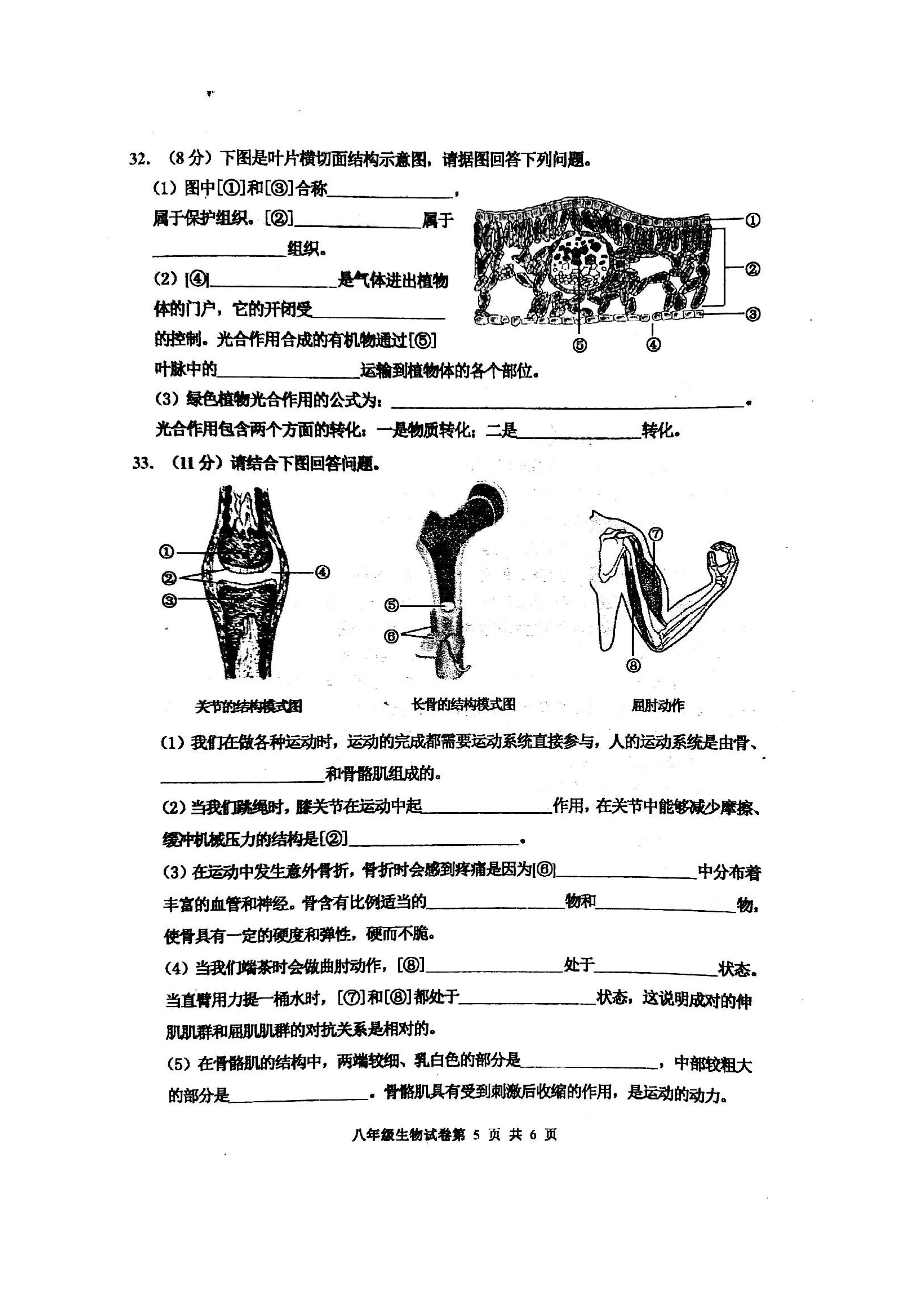 2019-2020唐山路南区初二生物上册期末试题含答案