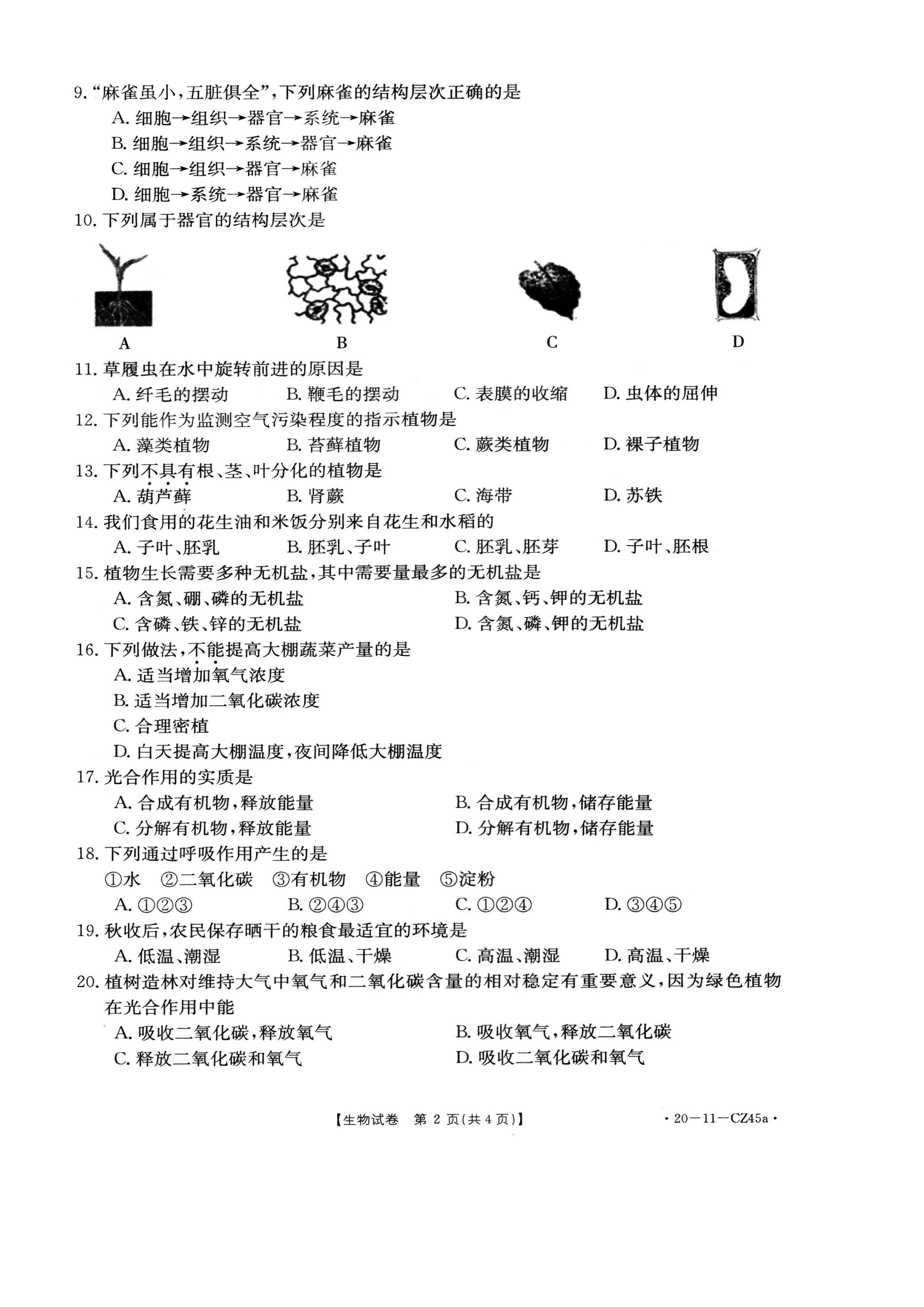 2019-2020永城实验中学初一生物上期末试题无答案