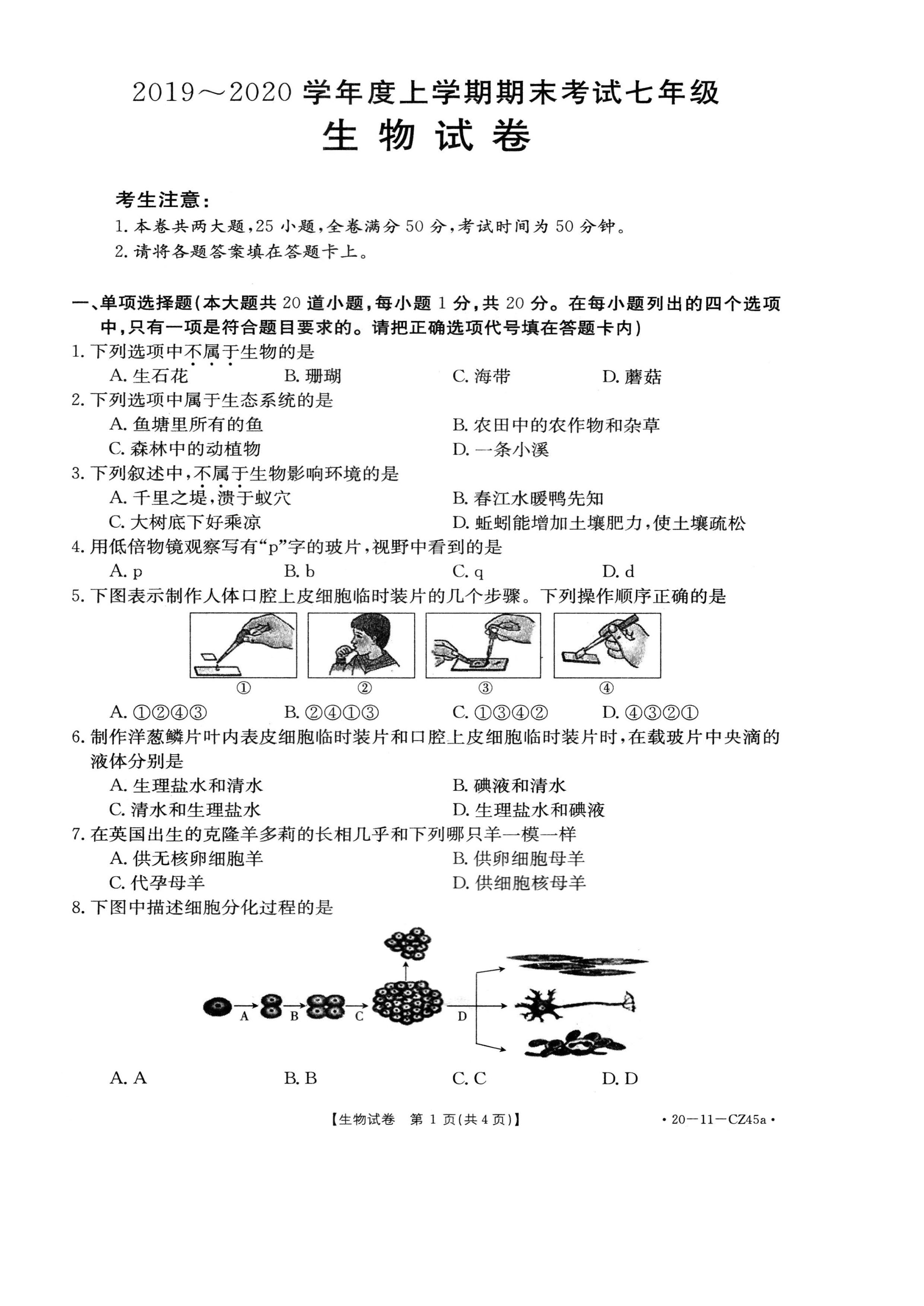 2019-2020永城实验中学初一生物上期末试题无答案