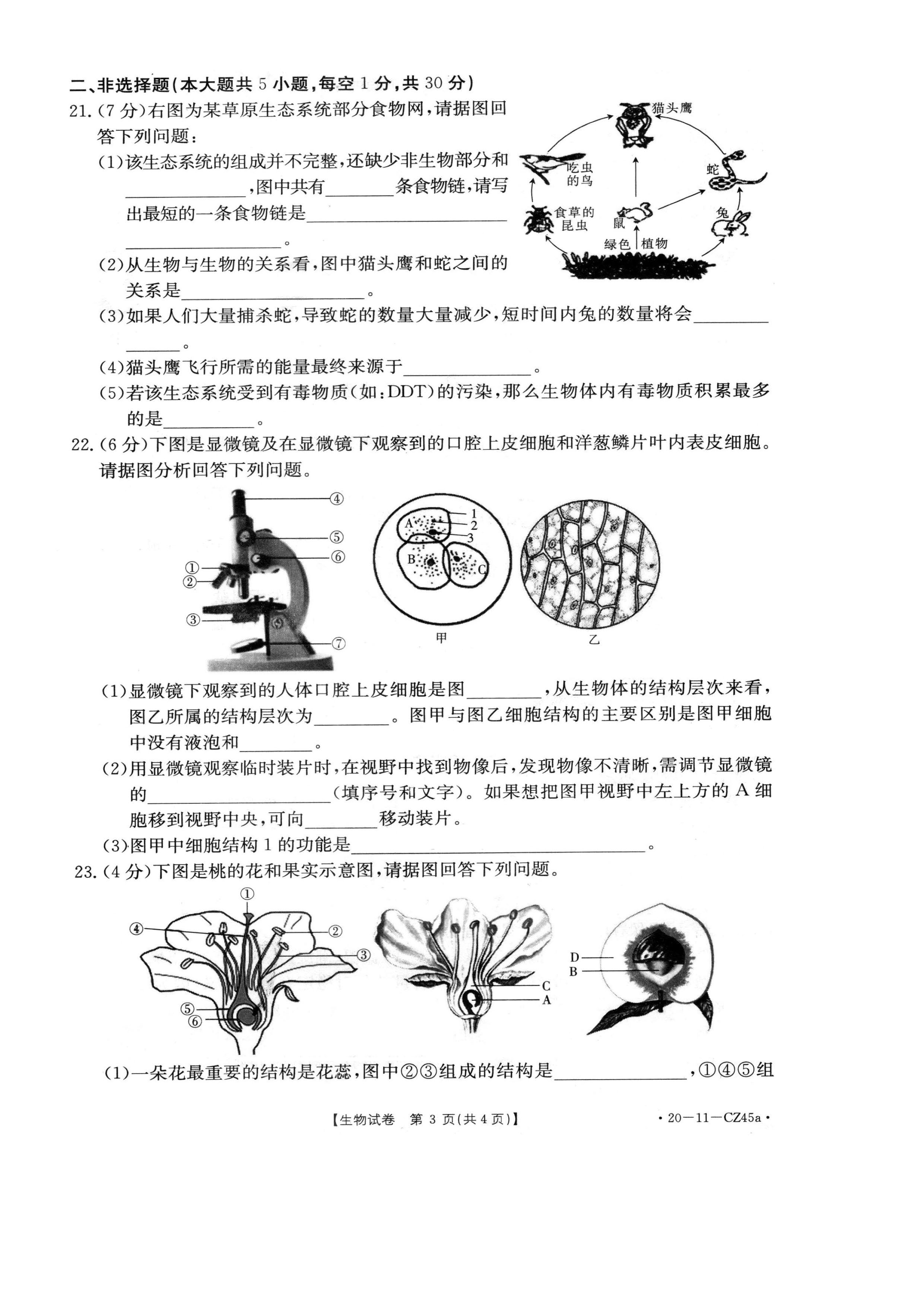 2019-2020永城实验中学初一生物上期末试题无答案