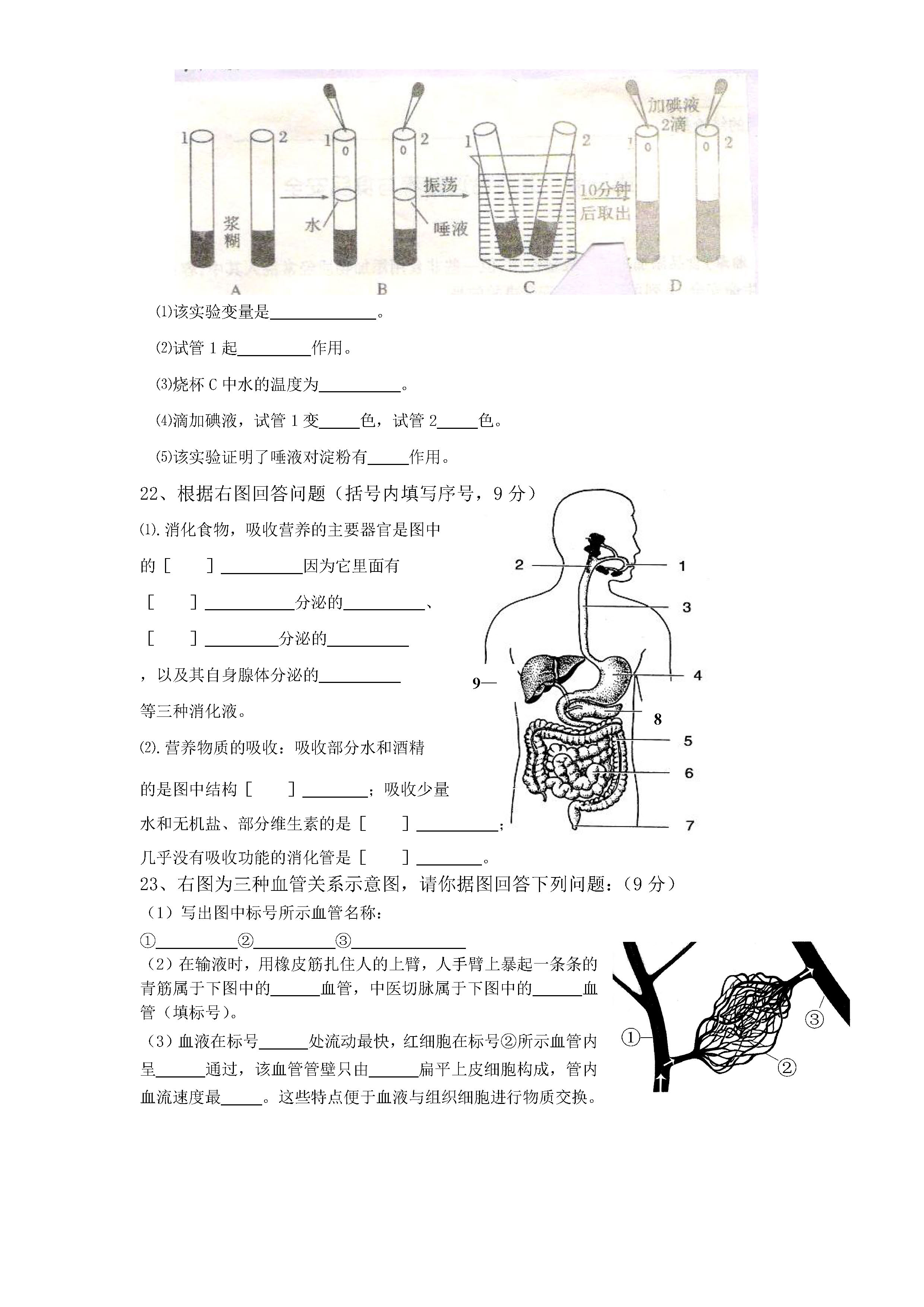 2019-2020河南新乡初一生物上期末试题含答案