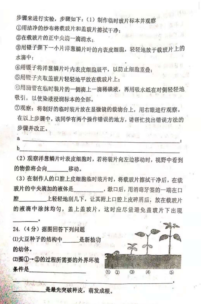 2019-2020河南扶沟县实验中学初一生物上期末试题含答案