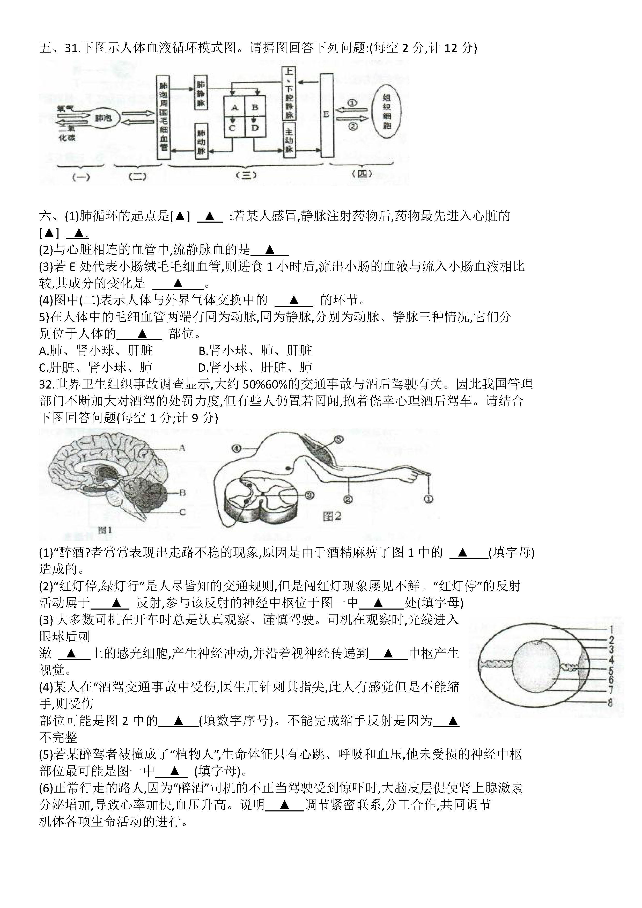 2019-2020江苏徐州初二生物上期末试题含答案