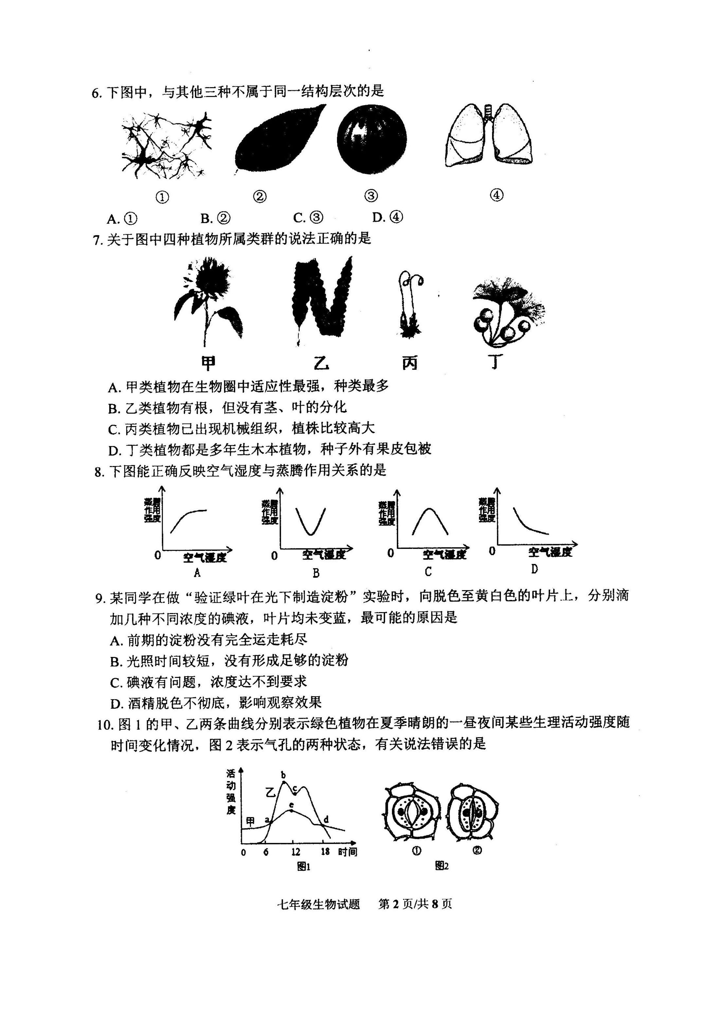 2019-2020山东潍坊初一生物上期末试题无答案