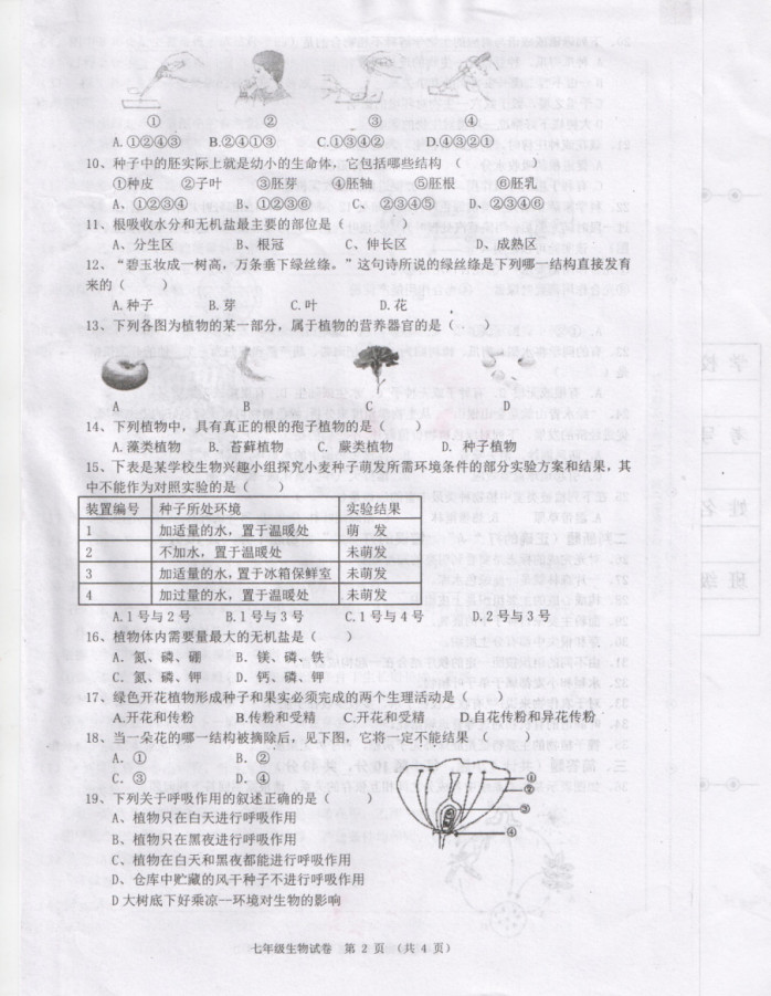 2019-2020湖南耒阳初一生物上册期末试题含答案（图片版）