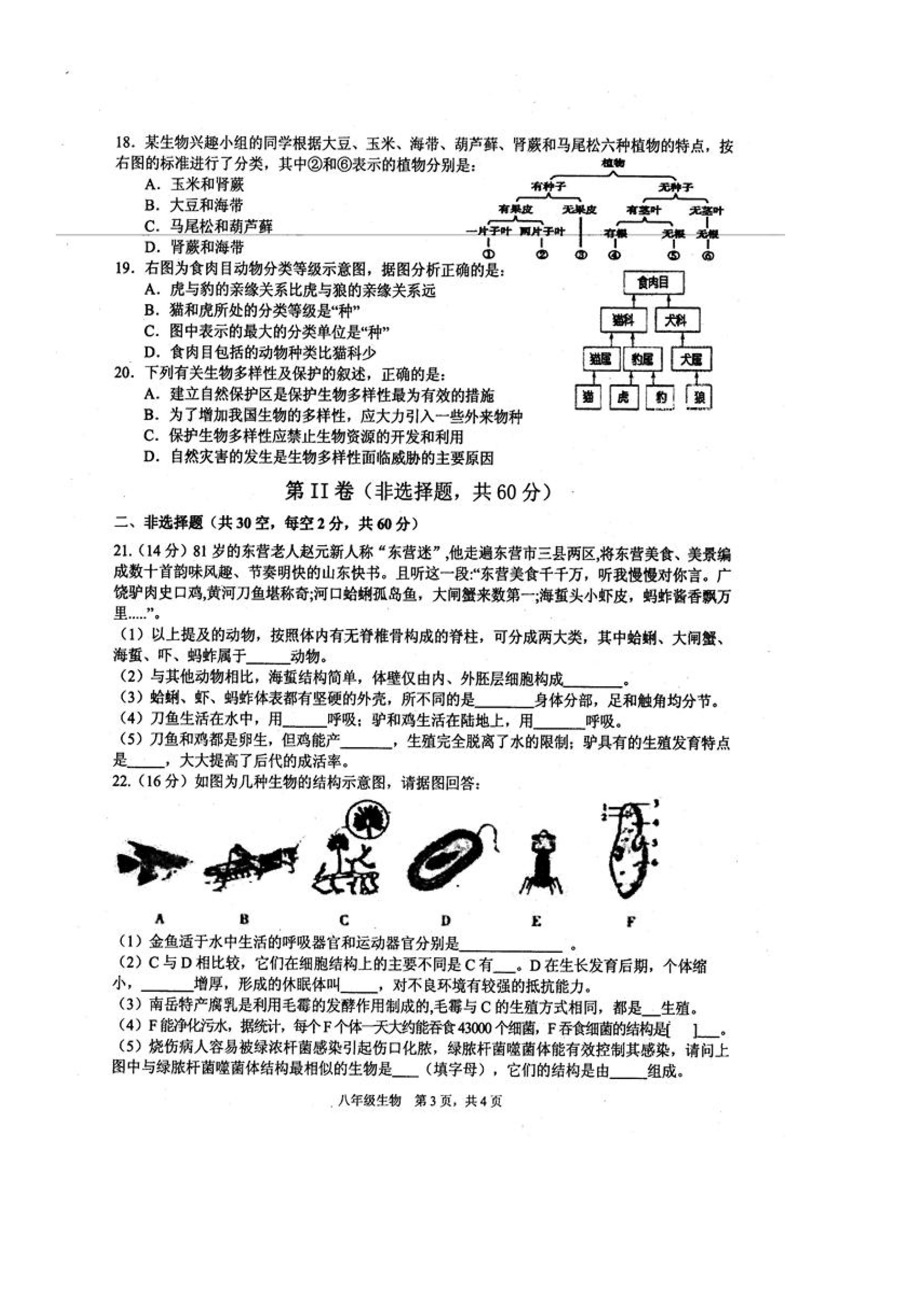 2019-2020四川绵阳初二生物上期末试题无答案